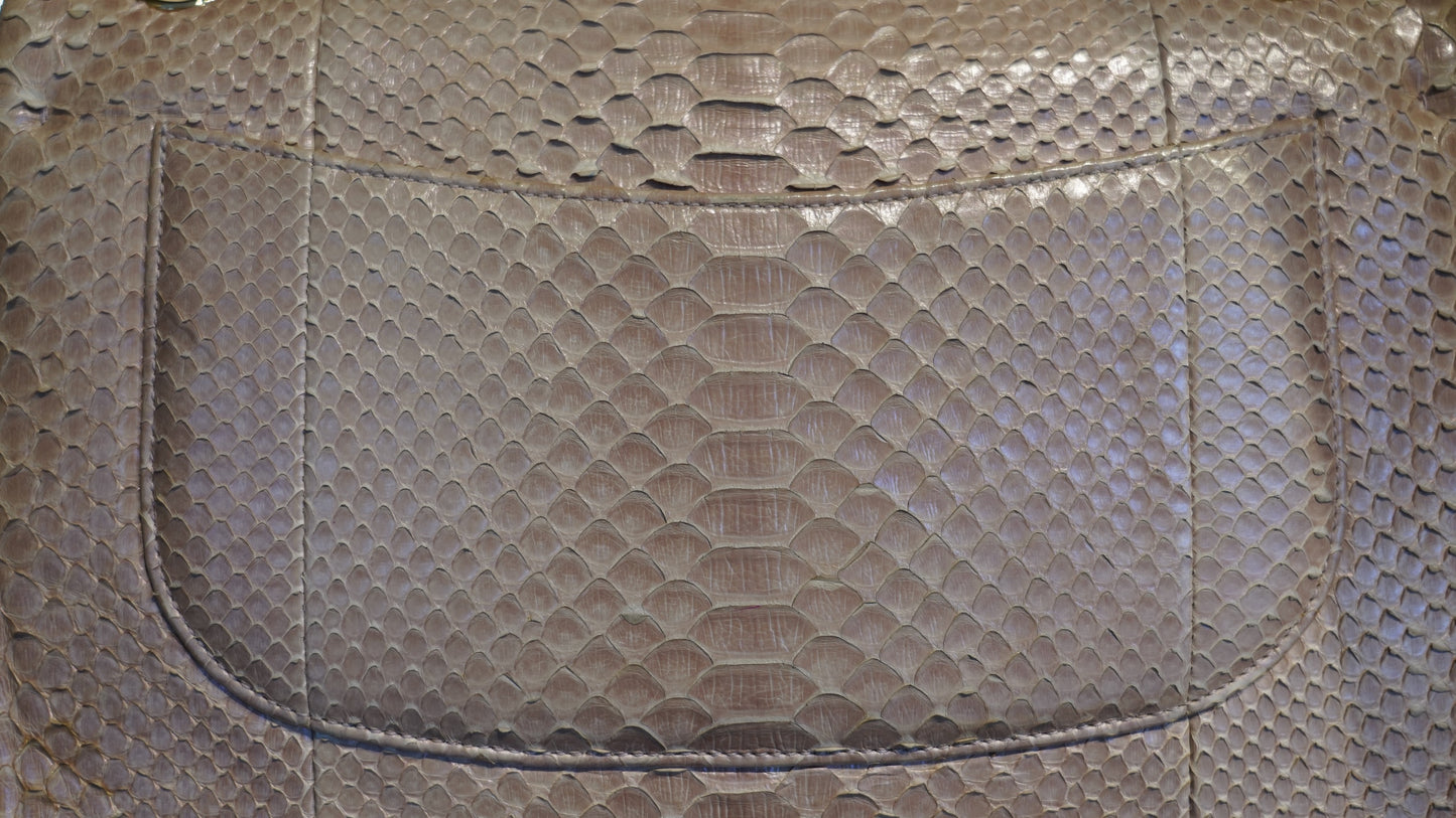 CHANEL TIMELESS JUMBO PITONE