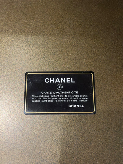 CHANEL TIMELESS JUMBO PITONE