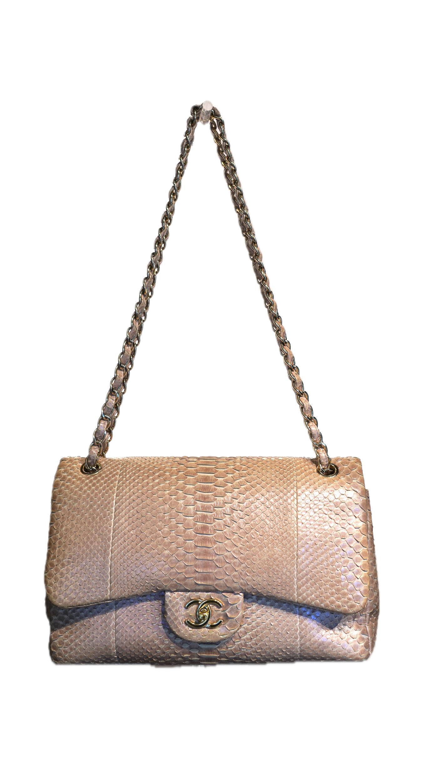 CHANEL TIMELESS JUMBO PITONE
